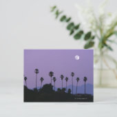 Moon über Palmen an der Dämmerung, Hollywood Postkarte (Stehend Vorderseite)