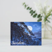 Moon über schneebedeckten Tannenbaum und Meeresküs Postkarte (Stehend Vorderseite)