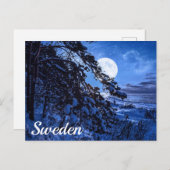 Moon über schneebedeckten Tannenbaum und Meeresküs Postkarte (Vorne/Hinten)