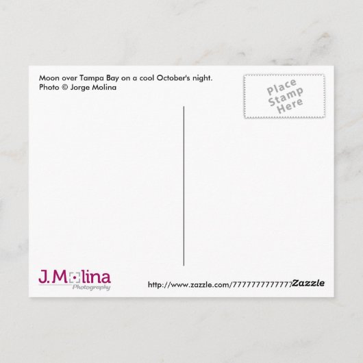 MOON ÜBER TAMPA BAY ! POSTKARTE (Rückseite)