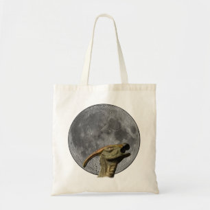 Moon und Charonosaurus Tragetasche