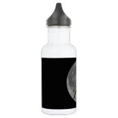 Moon und Charonosaurus Trinkflasche (Links)