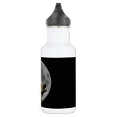 Moon und Charonosaurus Trinkflasche (Rechts)