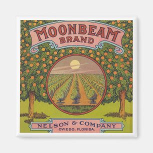 Moonbeam Brand   Vintages Zitruszeichen Magnet