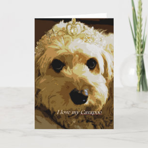 Mooncards, Cavapoo, Prinzessin, Karte