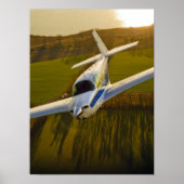 Mooney im goldenen Licht Poster (Vorne)