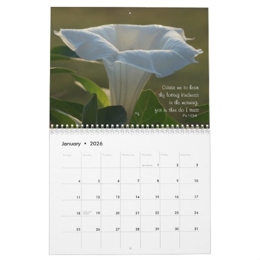 Moonflower Kalender---Edit-JAHR, wie gebraucht Kalender (Jan 2026)