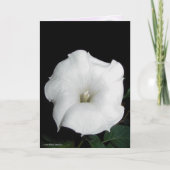 MoonFlower Karte (Vorderseite)