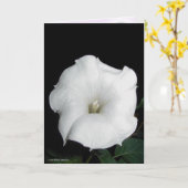 MoonFlower Karte (Gelbe Blume)