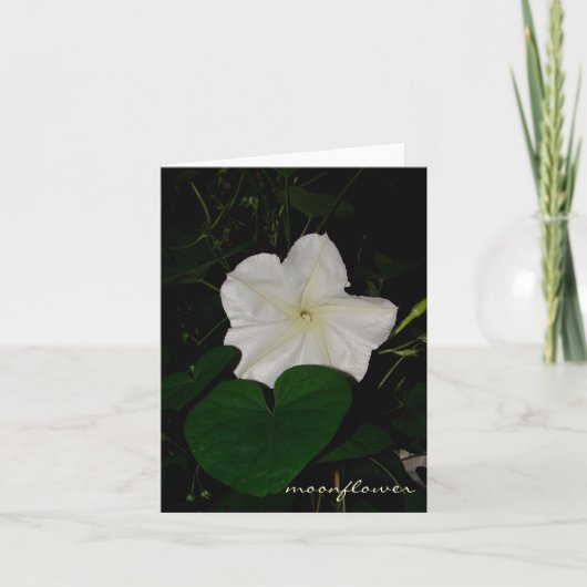 moonflower notecard karte (Vorderseite)