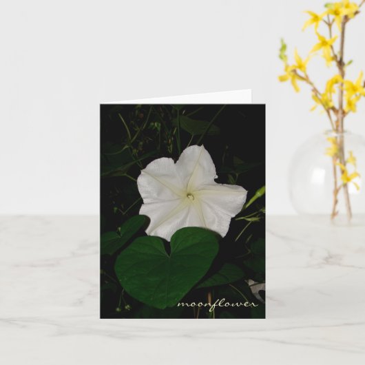 moonflower notecard karte (Gelbe Blume)