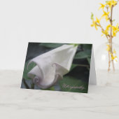 Moonflower Sympathy Card Karte (Gelbe Blume)