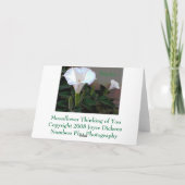 Moonflower Thinking of You Karte (Rückseite)