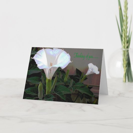 Moonflower Thinking of You Karte (Vorderseite)