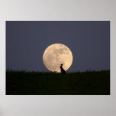 Moongazer Poster (Vorne)