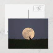 Moongazer Postkarte (Vorne/Hinten)
