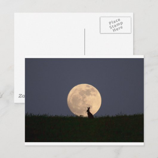 Moongazer Postkarte (Vorne/Hinten)