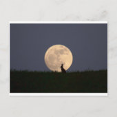 Moongazer Postkarte (Vorderseite)