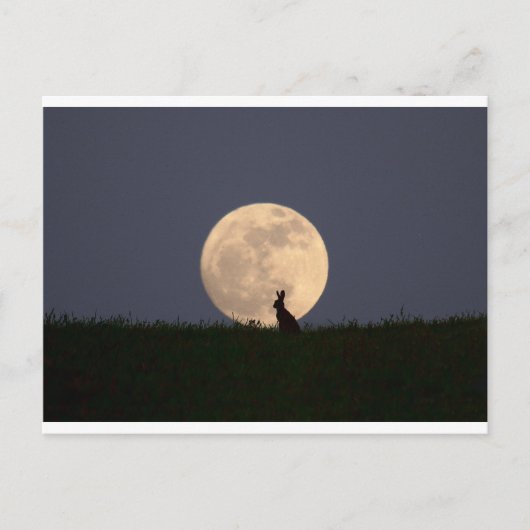 Moongazer Postkarte (Vorderseite)