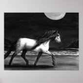 Moonlight Andalution Poster (Vorne)