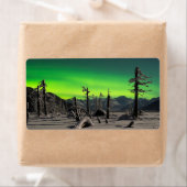 Moonlight Aurora (Insitu)