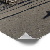 Moonlight Aurora Poster (Ecke)