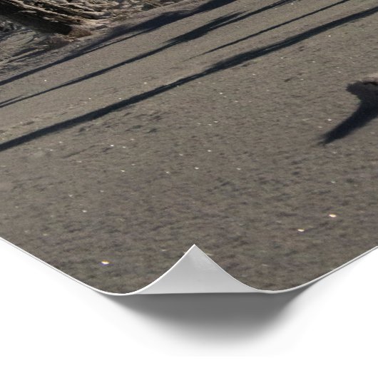 Moonlight Aurora Poster (Ecke)