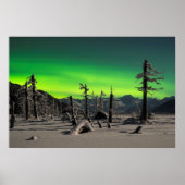 Moonlight Aurora Poster (Vorne)