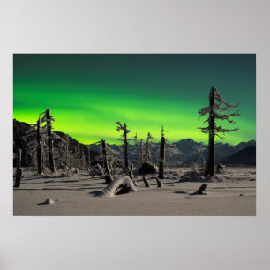 Moonlight Aurora Poster
