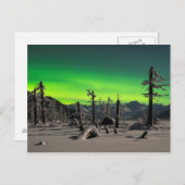 Moonlight Aurora Postkarte (Vorne/Hinten)