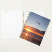 Moonlight Beach Sunset Planer (Anzeige)