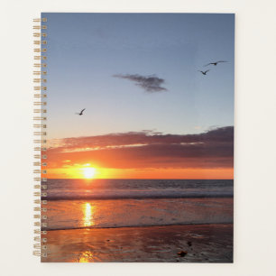 Moonlight Beach Sunset Planer