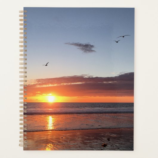 Moonlight Beach Sunset Planer (Vorderseite)