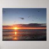 Moonlight Beach Sunset Poster (Vorne)