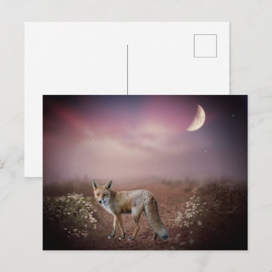 Moonlight Dream Fox Szene Postkarte (Vorne/Hinten)
