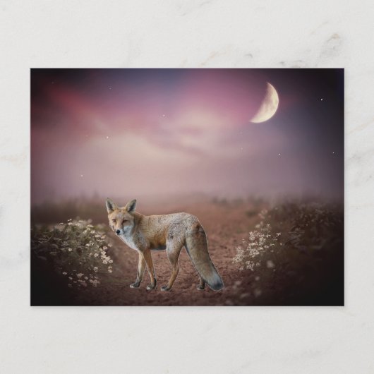 Moonlight Dream Fox Szene Postkarte (Vorderseite)