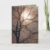 Moonlight Dream Karte (Vorderseite)