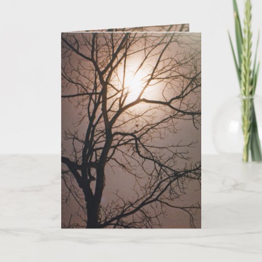 Moonlight Dream Karte (Vorderseite)