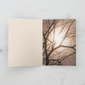 Moonlight Dream Karte (Innenseite)