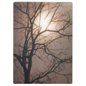 Moonlight Dream Klemmbrett (Rückseite)