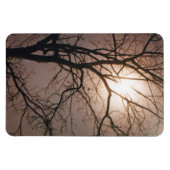 Moonlight Dream Magnet (Horizontal)