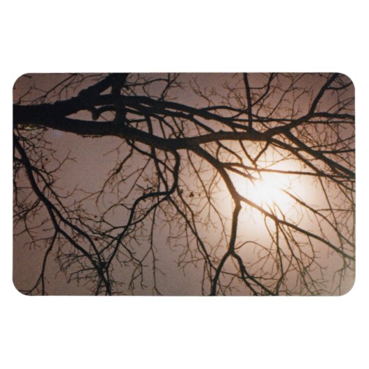 Moonlight Dream Magnet (Horizontal)