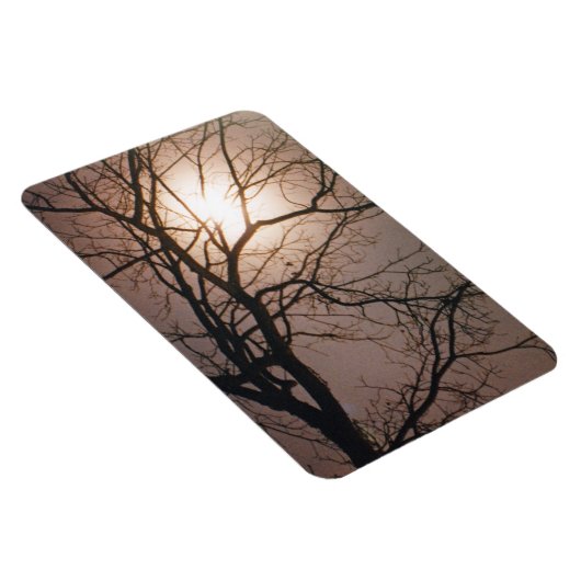 Moonlight Dream Magnet (Rechte Seite)