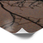 Moonlight Dream Poster (Ecke)