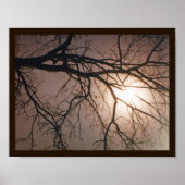 Moonlight Dream Poster (Vorne)