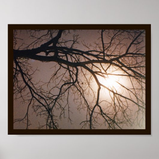 Moonlight Dream Poster (Vorne)