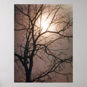 Moonlight Dream Poster