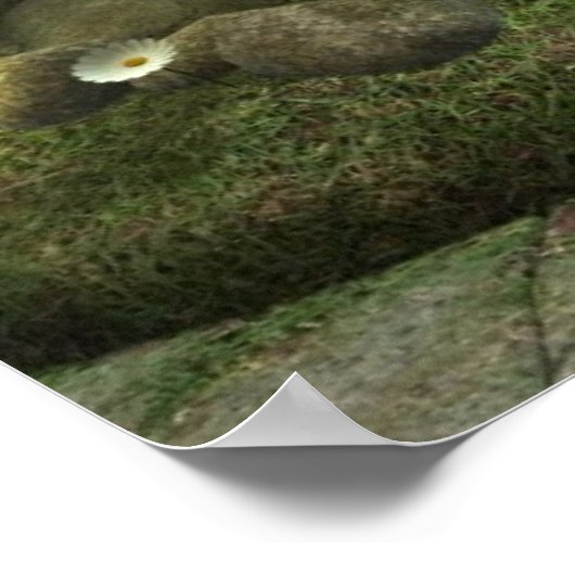 Moonlight Fairy Print Poster (Ecke)