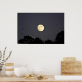 Moonlight Flight Posters Poster (Küche)