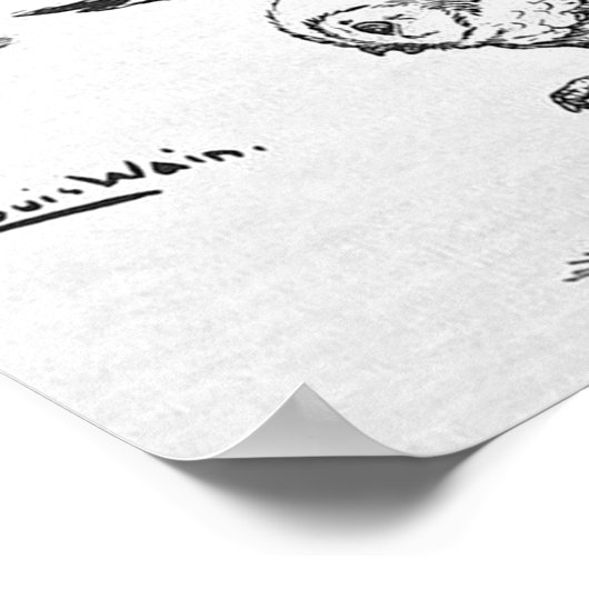 Moonlight Owls, Louis Wain Poster (Ecke)